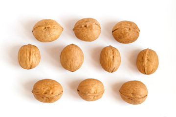 group of walnuts in shell on white background