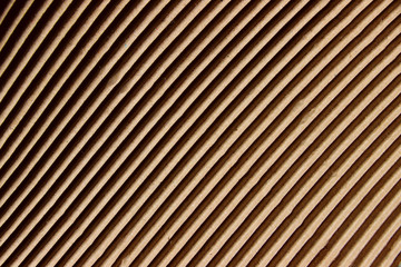 Abstract Gray Stripes Texture Background. Cropped Shot Of Paper Background. Brown Craft Paper Texture.