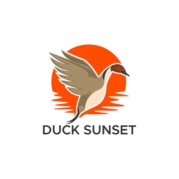 duck pintail sunset vector design illustration for your company or brand