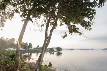 tree and water om Pee Khao Leaem National Park in the Kanchanaburi , Thailand