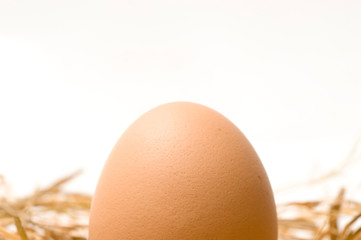 Single clean egg on nest. Abstract Background of Barn Laid Egg in straw nest with white background