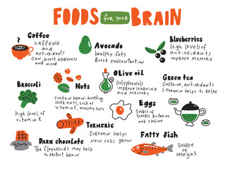 Food for your brain. Doodle illustration of different healthy food and nutrition facts. Made in vector.