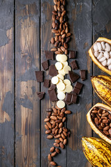 Cacao fruit decorated with fresh and dry cacao beans