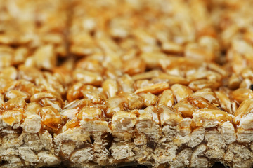 Kozinaki from golden, roasted sunflower seeds as a background, texture. Macro shooting,