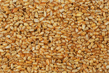 Kozinaki from golden, roasted sunflower seeds as a background, texture. Macro shooting,