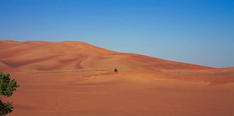 Fototapeta na wymiar desert safari experience with atv 4x4 vehicles