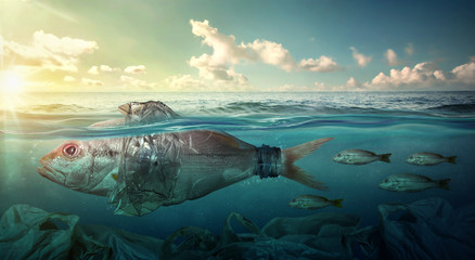 Fish swims among plastic ocean pollution. Environment concept - obrazy, fototapety, plakaty