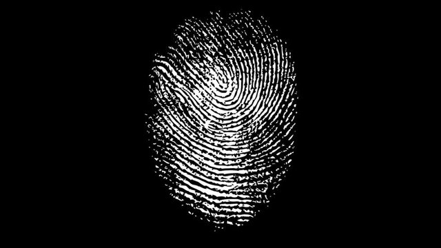 Various Fingerprints Running on black background. 4K
