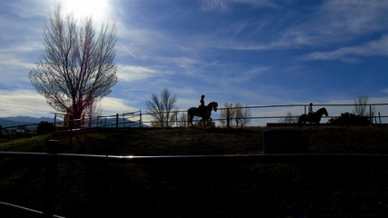 Fototapeta na wymiar Paseo a caballo al atardecer.
