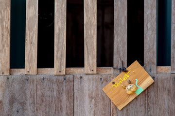 Wooden toilet sign hanging on the wooden door.