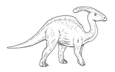 Fototapeta na wymiar Drawing of dinosaur - hand sketch of parasaurolophus, black and white illustration