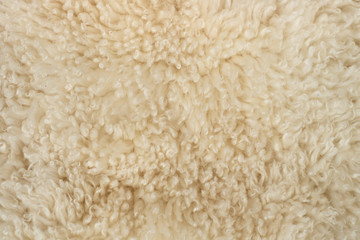 Sheep wool textile background texture. Beige pattern