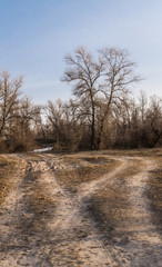 Dirt road and spring meadow. Weather in early spring