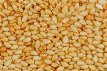 Kozinaki from golden, roasted sesame seeds as a background, texture, filled with shiny molasses.