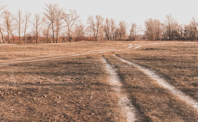 Dirt road and spring meadow. Weather in early spring