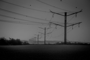 The electric wires
