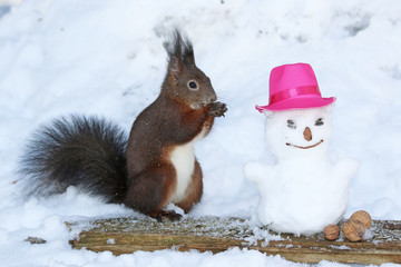 Eichhörnchen beim Schneemann bauen