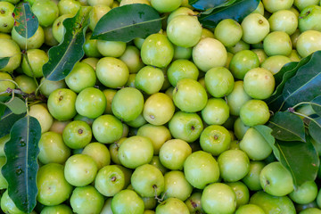 Many jujube fruits from Thailand