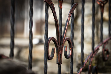 Wrought-iron gates, ornamental forging, forged elements close-up