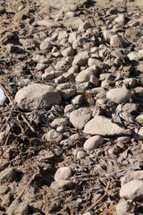 stones in water