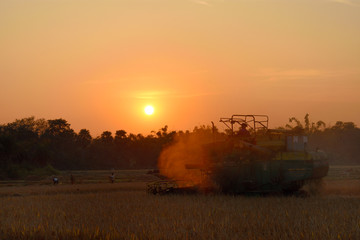 Fototapeta premium Harvester machine working in field on a beautiful evening