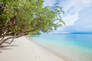 Beautiful tropical beach with green trees and yellow sand near the blue sea