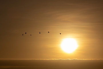 Golden Sunrise In Nairobi