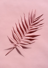 pink palm twig