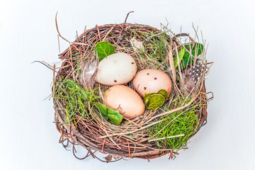 Fototapeta premium Easter decoration with egg in nest with moss on rustic white wooden background. Easter concept. Flat lay top view copy space. Spring greeting card