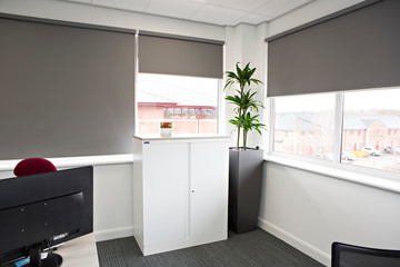 office, office space, office plants 