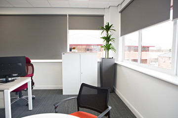 office, office space, office plants 