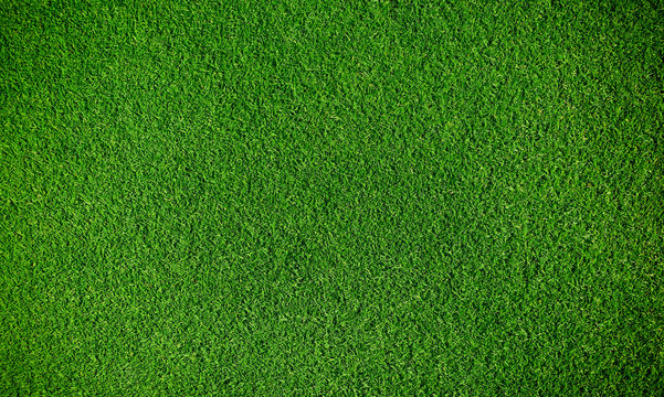 Artificial grass background © Željko Radojko