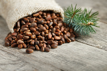 Pine nuts in a bag of burlap on an old vintage background with a fir green branch. In country style.