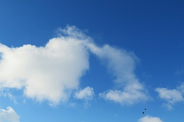 Beautiful heart shape cloud in blue sky background, natural cloudscape