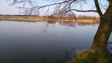 pond