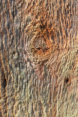 texture of wood and  cracked paint
