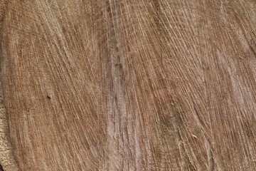 wooden texture background