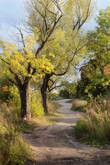 Obraz premium Autumn road