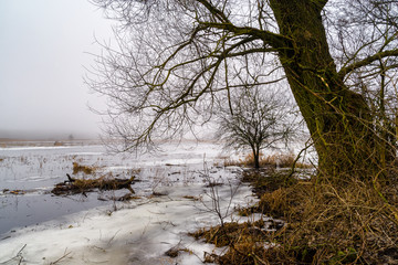 Przedwiośnie  na Podlasiu, Dolina Górnej Narwi