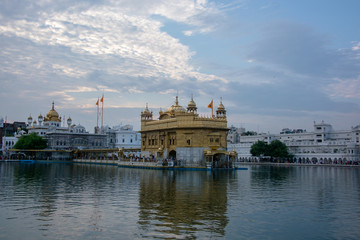 Templo Dorado o de Oro de Amritsar o Harmandir Sahib. Sijs. La India
