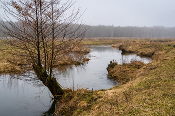 Przedwiośnie  na Podlasiu, Dolina Górnej Narwi