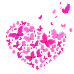 beautiful pink butterflies, isolated  on a white