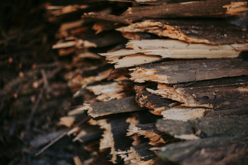 Firewood, for fire, stacked in a flat pile. wall firewood,