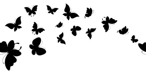 Fototapeta na wymiar black butterfly, pattern isolated on a white