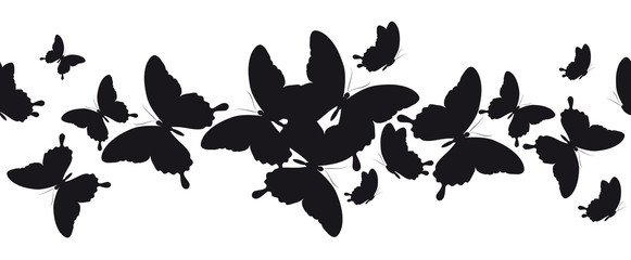 black butterfly, pattern  isolated on a white