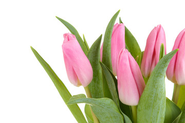 Beautiful bouquet of flowers of pink tulips on a white isolated background. spring holidays.