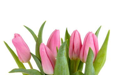 Naklejka premium Beautiful bouquet of flowers of pink tulips on a white isolated background. spring holidays.