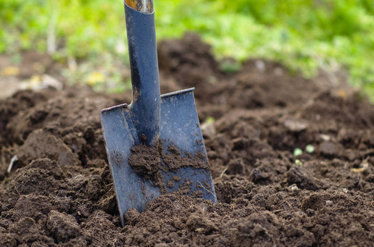 preparazione del giardino per primavera