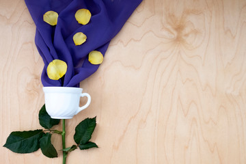 Concept of the mug rises the sky and the sun. Mug in the shape of a flower with stem. The mood of spring