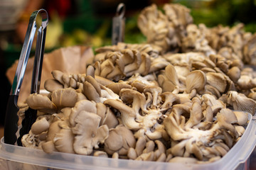 Pile of oyster mushrooms in display in a public food market of Lima
